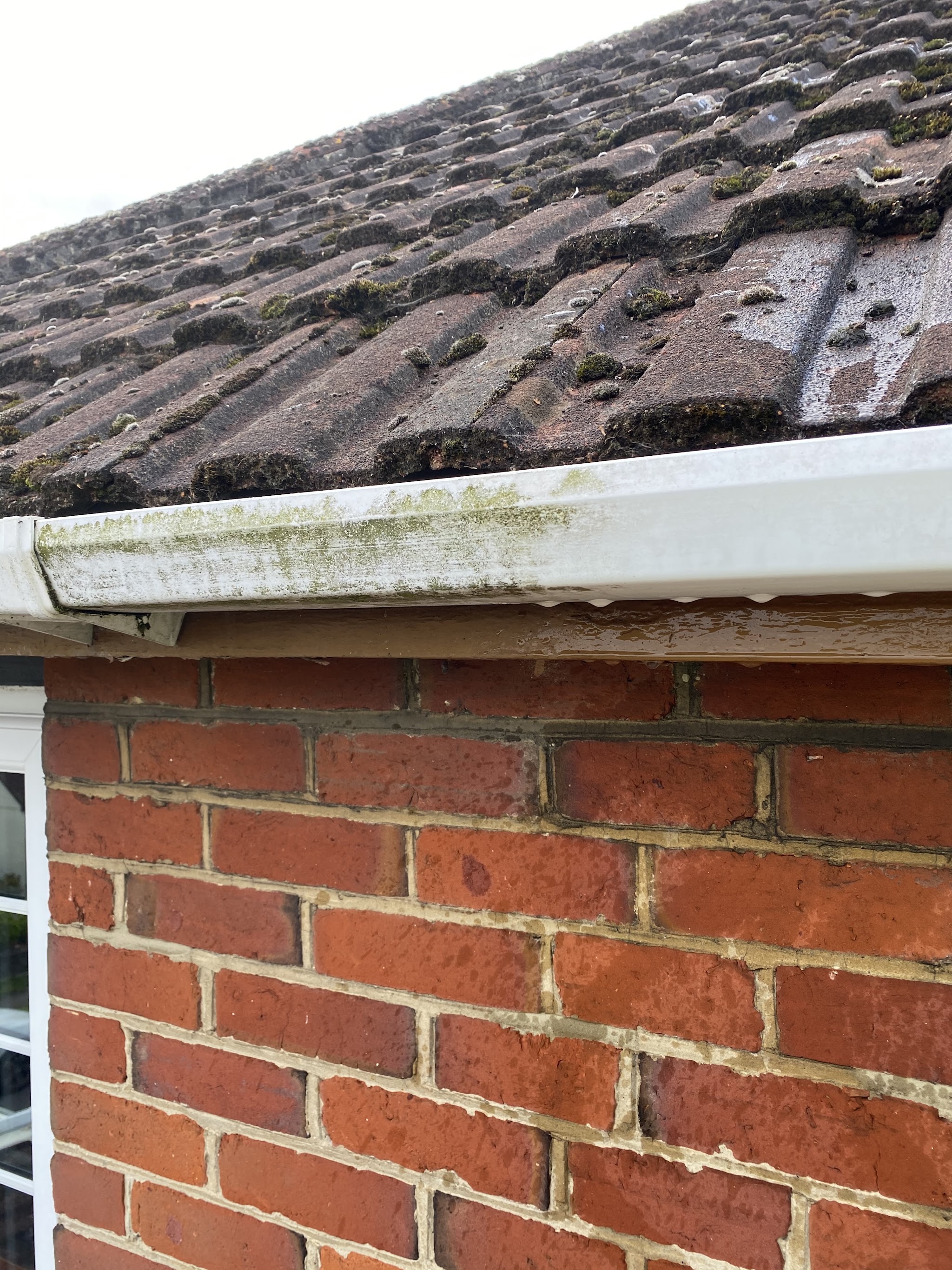White guttering and fascia under a tiled roof