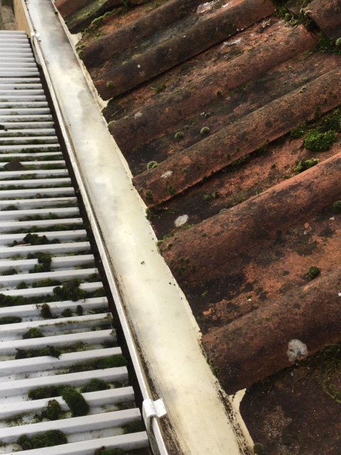 A length of guttering beside roof tiles